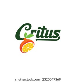 Vector fresh orange fruit logo design concept vector fresh fruit logo template