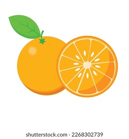 Vector fresh orange fruit slice