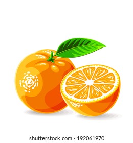 Vector fresh oranges on white. Vector illustration.