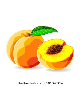 Vector fresh peaches on white. Vector illustration.