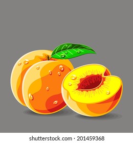 Vector fresh peaches with water drops without seed. Vector illustration.