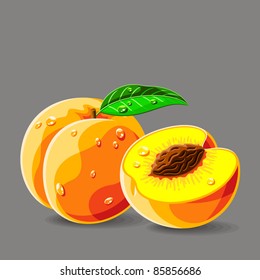 Vector fresh peaches with water drops. Vector illustration.