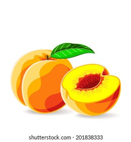 Peach Pit Stock Vectors Images Vector Art Shutterstock