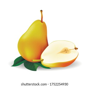Vector fresh pear on a white background. Vector illustration.