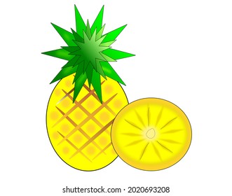  vector of  fresh  pineapple from garden on  transparent background.This image is for editing or using various media.