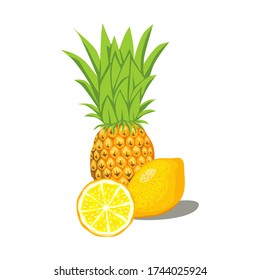
vector of fresh pineapples and oranges