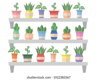 Vector fresh plants in colorful pots. Plants in pots on the shelves. Green plants and cactus kinds. Vector houseplants and flowerpots illustration.