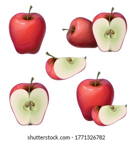 vector fresh red apples collection isolated on white. Whole, half, and slice of a ripe juicy apple. delicious sliced red fruits icon set in realistic 3d style for banner, logo. apple composition