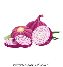 Vector fresh red onion on white. Vector illustration.	