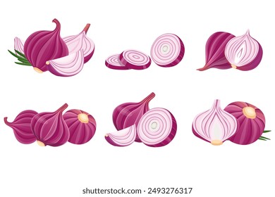 Vector fresh red onion on white. Vector illustration.	