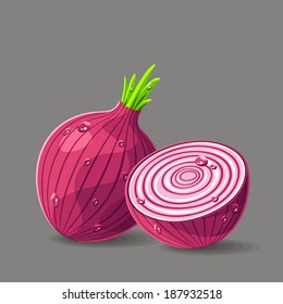 Vector fresh red onions with water drops. Vector illustration.