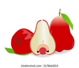 Vector de frutos de anacardos rojos frescos