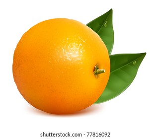 Vector fresh ripe orange with leaves.
