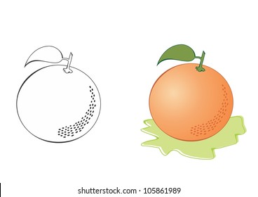 Vector fresh ripe oranges with leaves.