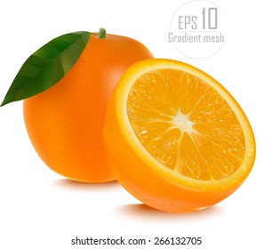 Vector of fresh ripe oranges with leaves. EPS 10 done gradient mesh on white background 
