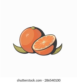 Vector fresh ripe oranges with leaves on white background.