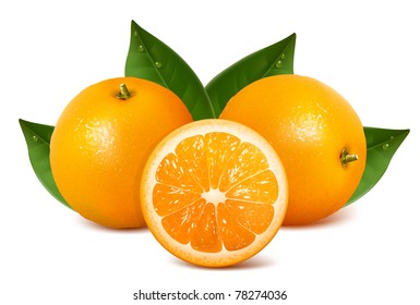 Vector fresh ripe oranges with leaves.