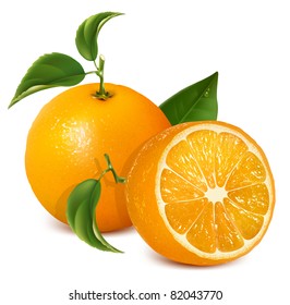 Vector fresh ripe oranges with leaves.