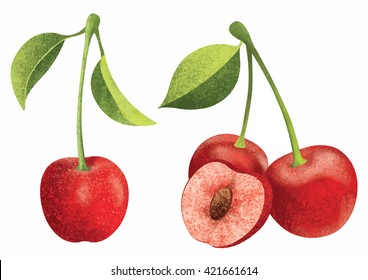 Vector fresh ripe red cherries with leaves.Different styles of cherry on white background.