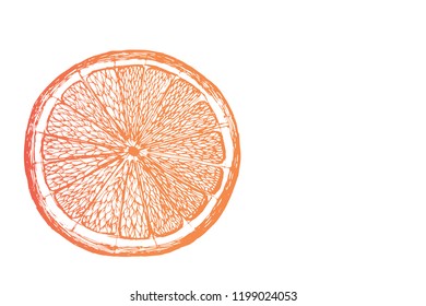 Vector fresh ripe slice of orange on white. Healthy food logo