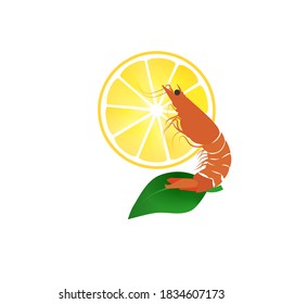 Vector fresh shrimp with half slice yellow lemon and green leaves drawing on white