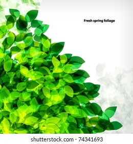 Vector fresh spring foliage background. Abstract background of flying leaves.