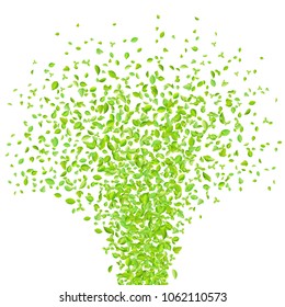 Vector fresh spring green leaves background for greeting card in flat style