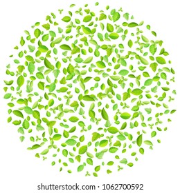 Vector fresh spring green leaves background for greeting card in flat style