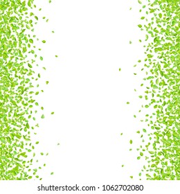 Vector fresh spring green leaves background for greeting card in flat style