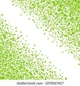 Vector fresh spring green leaves background for greeting card in flat style