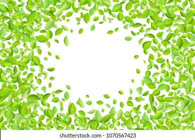 Vector fresh spring green leaves background for greeting card in flat style