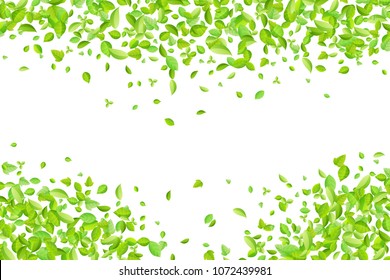 Vector fresh spring green leaves background for greeting card in flat style