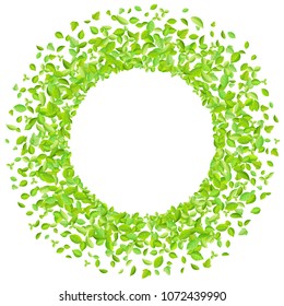 Vector fresh spring green leaves background for greeting card in flat style