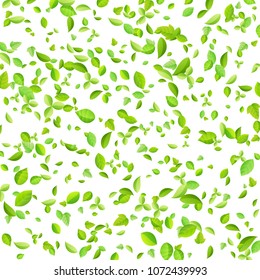 Vector fresh spring green leaves background for greeting card in flat style