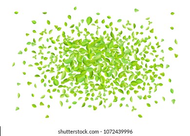 Vector fresh spring green leaves background for greeting card in flat style