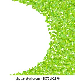 Vector fresh spring green leaves background for greeting card in flat style