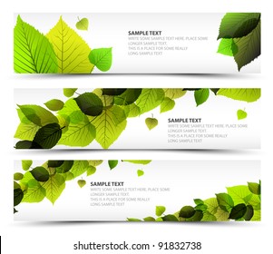 Vector Fresh spring horizontal banners with leafs and sample text