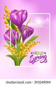 Vector Fresh Spring Illustration with Spring Flowers Crocuses and Mimosas. Floral Spring Bouquet in frame with Text Spring Time.