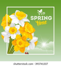 Vector Fresh Spring Illustration with Spring Flowers Yellow and White Daffodils. Floral Spring Bouquet in frame with Text Spring Time.