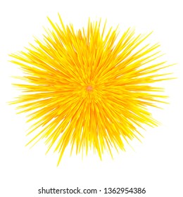 Vector Fresh Spring Yellow Dandelion Flower Isolated on White Background