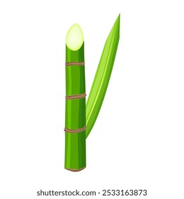 vector fresh sugarcane with green leaves