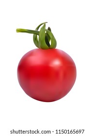 Vector fresh  tomato with green leaves isolated on white background