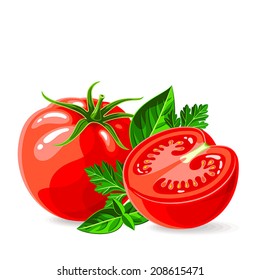 Vector fresh tomatoes with parsley and basil on white. Vector illustration.