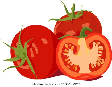 Vector fresh tomatos