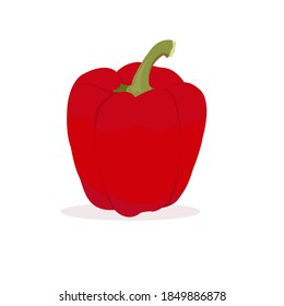 Paprica vegetal fresca vectorial