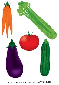 Vector Fresh Vegetables, carrots, celery, tomato, eggplant, squash.