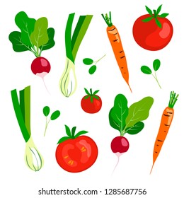 vector fresh vegetables green corn lettuce red tomato radish carrot set on white for your design