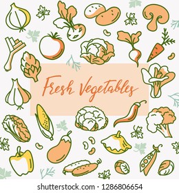 Vector with fresh vegetables. Template for a label with the place for your text. Natural food illustration. Organic nutrition. Design for packaging, menu, kitchen textile.