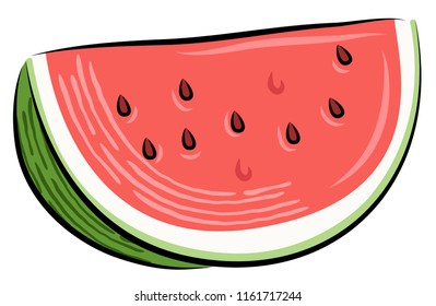 Vector fresh watermelon slice, isolated illustration