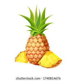 Vector fresh whole, cut slice and piece of pineapple isolated on white background. Vegan food vector icons in a trendy cartoon style. Healthy food concept.